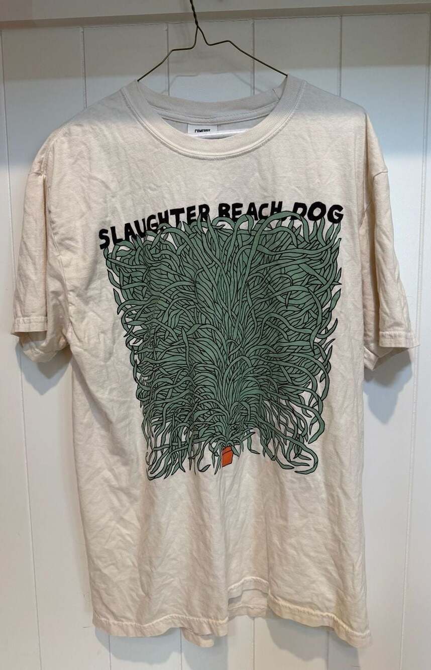 Slaughter Beach Dog Comfort Colors Solo Tour 2024 Graphic T-Shirt